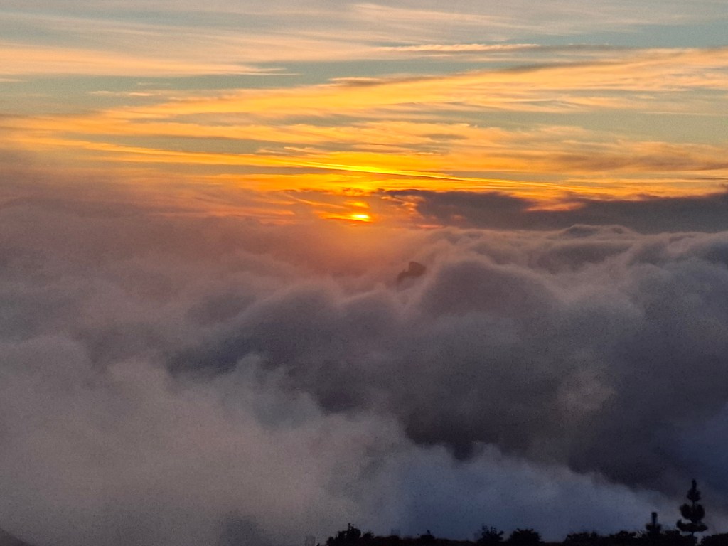 Réflexion sur la&nbsp;liberté